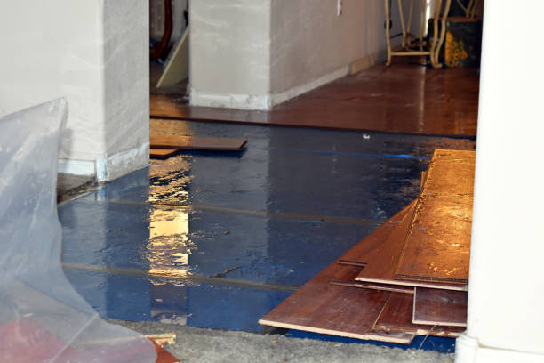 Professional Basement Flood Cleanup technician working in Burtonsville, MD